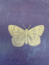 History of Insects. 36 engravings. Gilt.  SCARCE.  Religious Tract Society. 1842