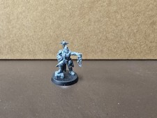Warhammer 40k Catachan Colonel
