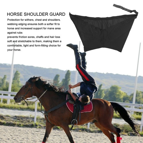 New stretch horse - stretch, shoulder