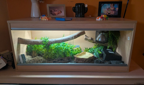Foot light oak vivarium - oak,