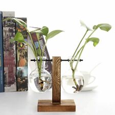 Wooden Stand Hanging Glass Vase Terrarium  Hydroponics Container Pot Decor