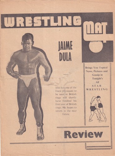 Wrestling mat review - review, @