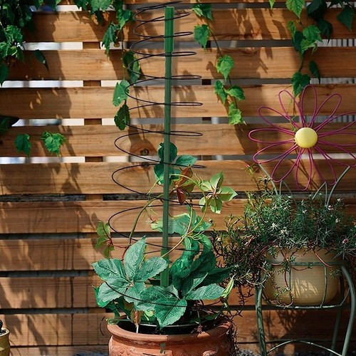 For healthy plant growth - for,