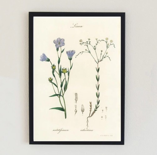 Vintage flower illustration - vintage,