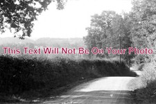 SX 2461 - Near Balcombe Viaduct, Sussex