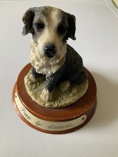 Puppy Border Collie By