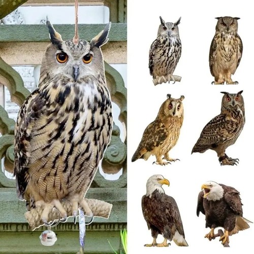 Owl decoy bird - owl,