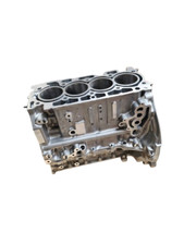 Cylinder Block with Pistons