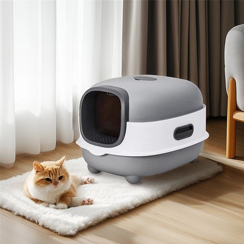 Self cleaning cat - cleaning,