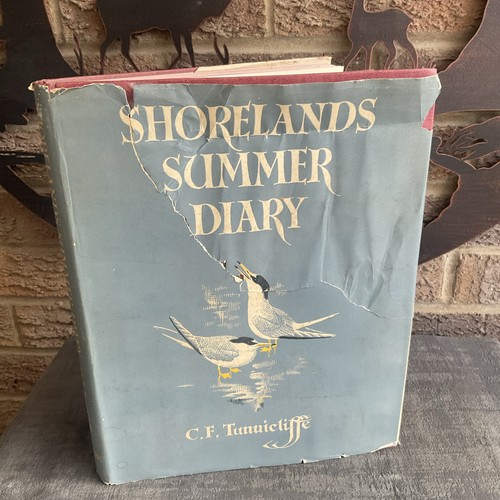 Shorelands summer diary hb - shorelands,