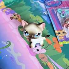 Littlest Pet Shop Black White Siamese Shorthair Cat #5 With Blue Eyes From 2004