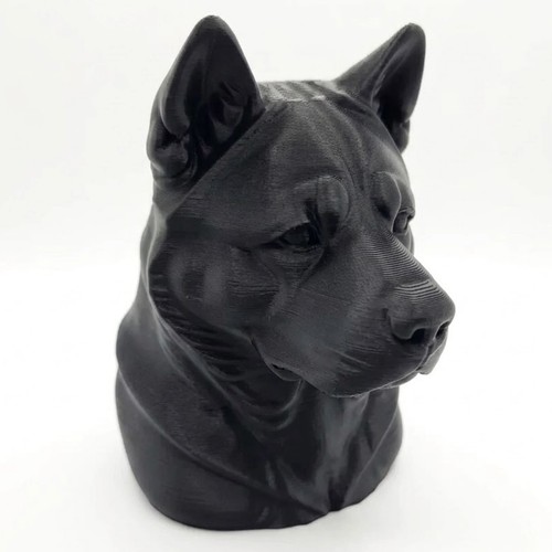 American akita dog - -, home