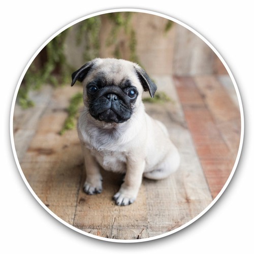 Vinyl stickers 15cm - vinyl,