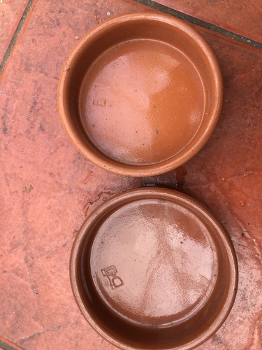 Terracotta dishes - terracotta,