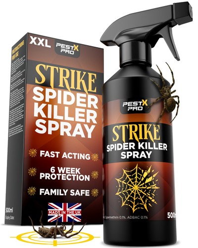 Spider killer spray 500ml - spider,