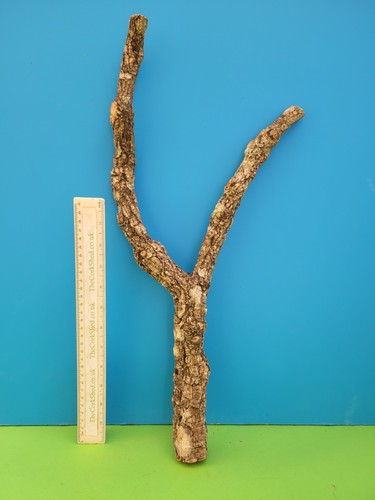 Cork bark branch 52cm snake - cork,