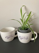 2 BIG Cups for large hot