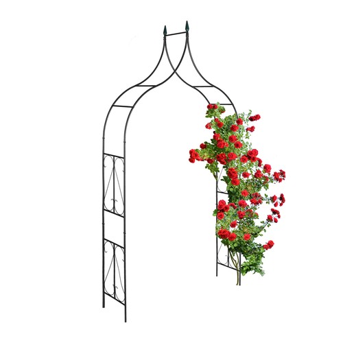 Rose arch climbing frame - rose,
