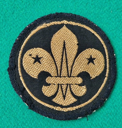 Vintage boy scout - vintage,