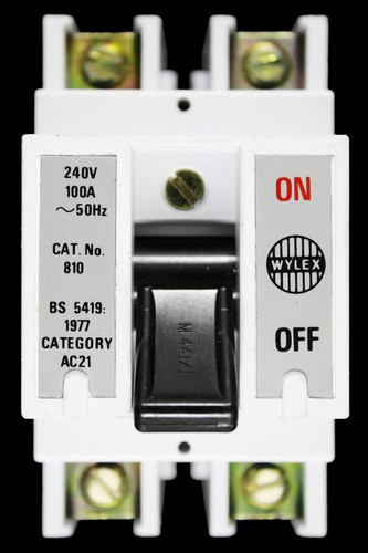 Wylex 100 amp - double, main