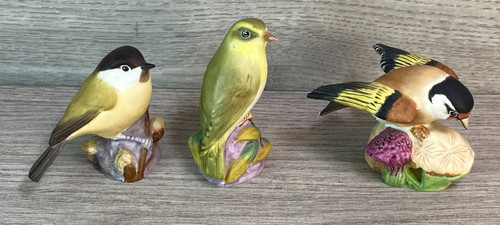 Royal worcester wood - royal, warbler