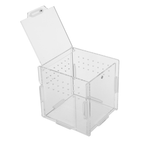 Pieces reptile terrarium - 3,