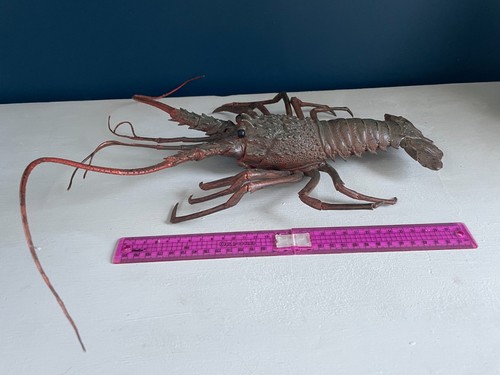Vintage aaa spiny - spiny, lobster