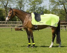 Reflection exercise sheet size