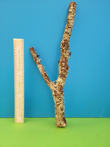 Cork bark branch 47cm snake - branch,