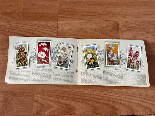 Wills cigarette cards - cards, 'wild