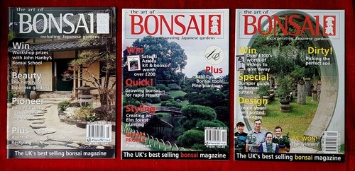 The art bonsai - art,