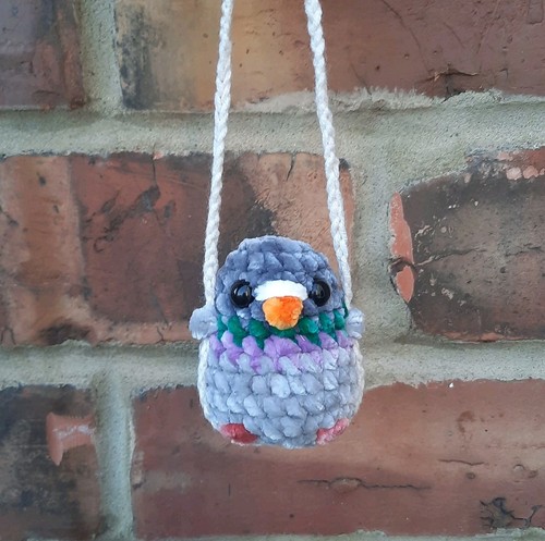 Pigeon swing car - car, mirror