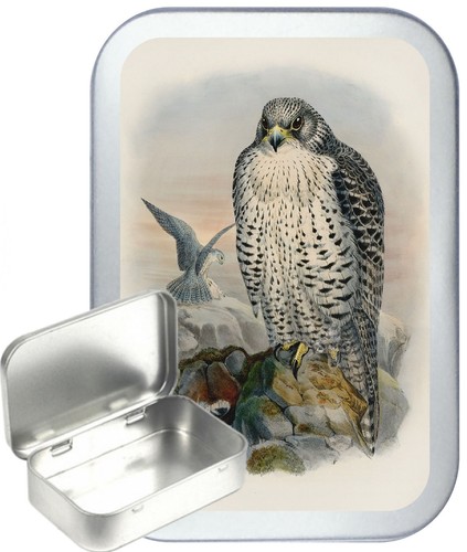 Wild forest creatures silver - forest,