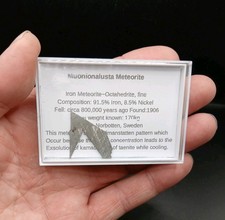Muonionalusta meteorite slice