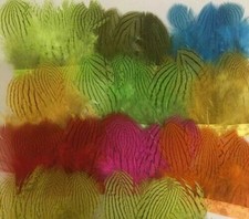 Silver Pheasant Dyed Mixed
