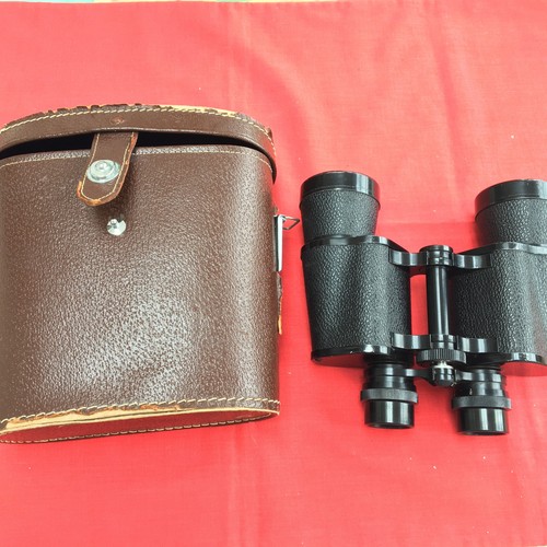 Old pair binoculars case - pair, +case