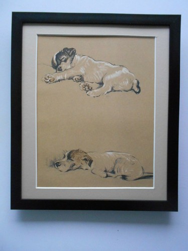 Lucy dawson dogs - dawson, 'dogs'