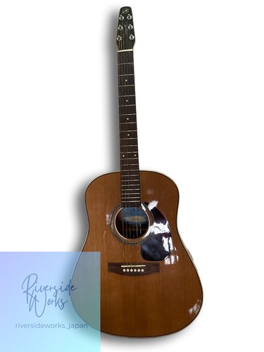 Seagull maritime cedar - maritime,