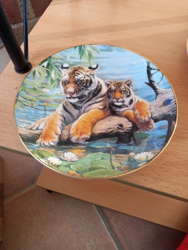 Tiger plates - tiger,