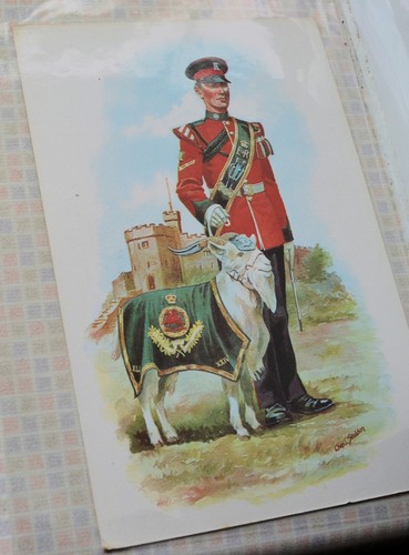 Postcard stadden british - ,