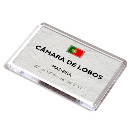 Fridge magnet camara - fridge,