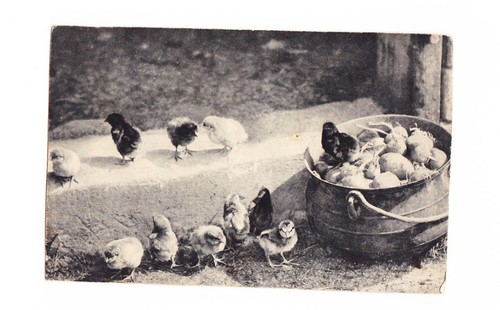 Antique old vintage postcard - antique,