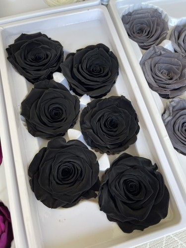 Black preserved real - black,