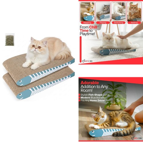 Cat scratching post - cat, cardboard