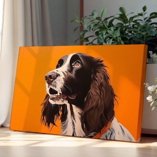 English springer spaniel - springer,