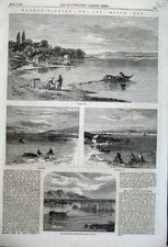 Old Antique Print 1862 Salmon