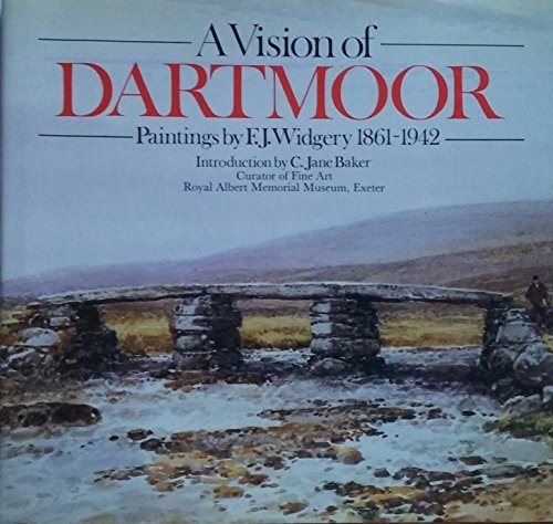 Vision dartmoor - vision, of