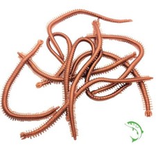 Rag Worm Lug Worm Imitation