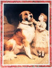 SAINT BERNARD St. and