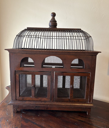 Victorian bird cage - bird,